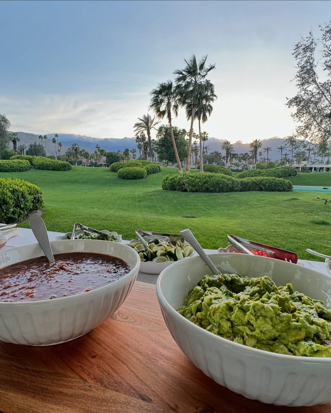 Fresh guacamole and chips with a desert backdrop