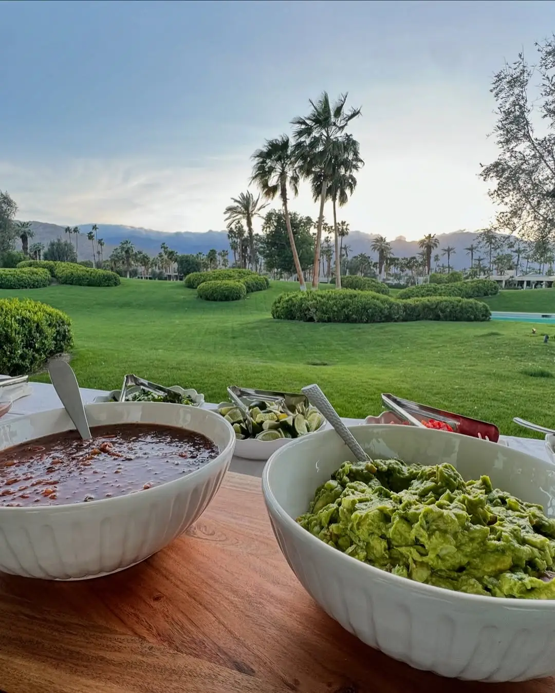 Fresh guacamole and chips with a desert backdrop